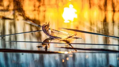 Zachód słońca nad jeziorem Mój