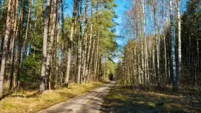 Mazury - inspiracja fotograficzna o każdej porze roku - zdjęcie 2