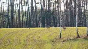 Mazury - inspiracja fotograficzna o każdej porze roku - zdjęcie 28