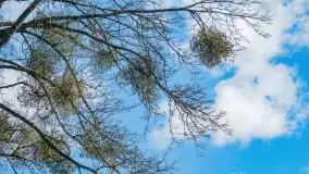 Mazury - inspiracja fotograficzna o każdej porze roku - zdjęcie 34