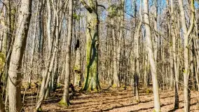 Mazury - inspiracja fotograficzna o każdej porze roku - zdjęcie 9