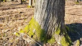 Mazury - inspiracja fotograficzna o każdej porze roku - zdjęcie 39