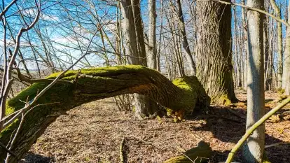 Mazury - inspiracja fotograficzna o każdej porze roku