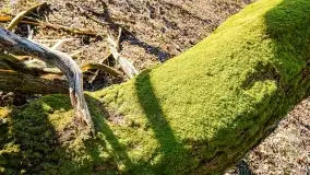 Mazury - inspiracja fotograficzna o każdej porze roku - zdjęcie 11