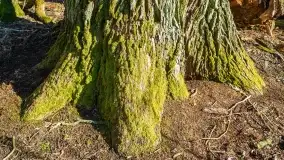 Mazury - inspiracja fotograficzna o każdej porze roku - zdjęcie 29