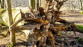 Mazury - inspiracja fotograficzna o każdej porze roku - zdjęcie 37