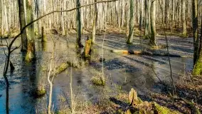 Mazury - inspiracja fotograficzna o każdej porze roku - zdjęcie 40