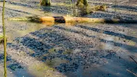 Mazury - inspiracja fotograficzna o każdej porze roku - zdjęcie 22
