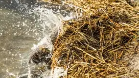 Wietrzny Dargin na początku wiosny - zdjęcie 14