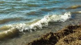 Wietrzny Dargin na początku wiosny - zdjęcie 19