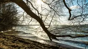 Wietrzny Dargin na początku wiosny - zdjęcie 5