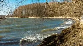 Wietrzny Dargin na początku wiosny - zdjęcie 34