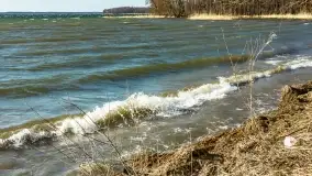 Wietrzny Dargin na początku wiosny - zdjęcie 22