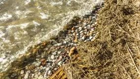 Wietrzny Dargin na początku wiosny - zdjęcie 36