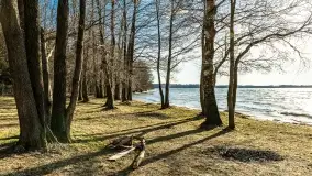 Wietrzny Dargin na początku wiosny - zdjęcie 8