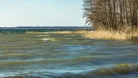 Wietrzny Dargin na początku wiosny - zdjęcie 47