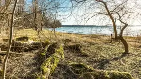 Wietrzny Dargin na początku wiosny - zdjęcie 45