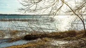 Wietrzny Dargin na początku wiosny - zdjęcie 50