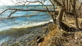 Wietrzny Dargin na początku wiosny - zdjęcie 43