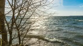 Wietrzny Dargin na początku wiosny - zdjęcie 39