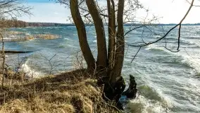 Wietrzny Dargin na początku wiosny - zdjęcie 30