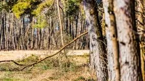 Mazury na niewykorzystanych ujęciach, styczeń - marzec 2022 - zdjęcie 17