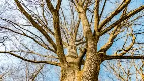 Mazury na niewykorzystanych ujęciach, styczeń - marzec 2022 - zdjęcie 33