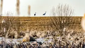 Mazury na niewykorzystanych ujęciach, styczeń - marzec 2022 - zdjęcie 43