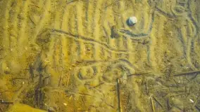 Jezioro Śniardwy i Nowe Guty na początku wiosny - zdjęcie 24