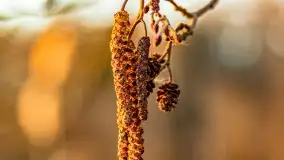 Zachód słońca nad jeziorem Kisajno, Zimny Kąt - zdjęcie 42