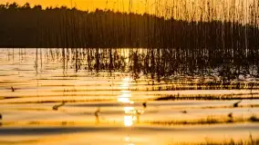 Zachód słońca nad jeziorem Wydmińskim, marzec 2022 - zdjęcie 6