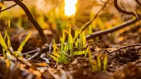 Zachód słońca nad jeziorem Wydmińskim, marzec 2022 - zdjęcie 40