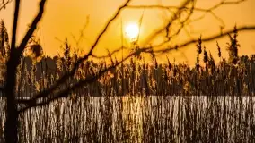 Zachód słońca nad jeziorem Wydmińskim, marzec 2022 - zdjęcie 29