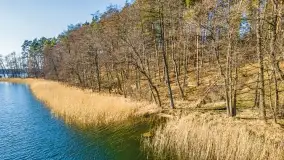 Binduga Zimny Kąt na początku wiosny 2022 - zdjęcie 15