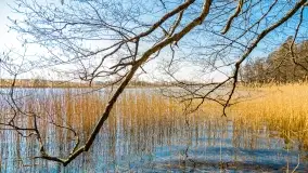 Binduga Zimny Kąt na początku wiosny 2022 - zdjęcie 6