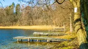 Binduga Zimny Kąt na początku wiosny 2022 - zdjęcie 46