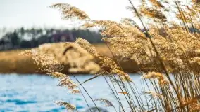 Binduga Zimny Kąt na początku wiosny 2022 - zdjęcie 17