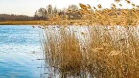 Binduga Zimny Kąt na początku wiosny 2022 - zdjęcie 47