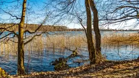 Jezioro Ołów w pierwszych dniach wiosny - zdjęcie 4