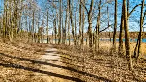 Jezioro Ołów w pierwszych dniach wiosny - zdjęcie 16