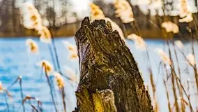 Jezioro Ołów w pierwszych dniach wiosny - zdjęcie 14