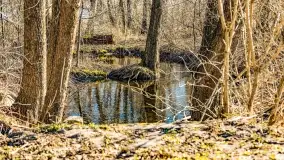 Jezioro Ołów w pierwszych dniach wiosny - zdjęcie 55