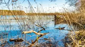 Jezioro Ołów w pierwszych dniach wiosny - zdjęcie 22