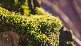 Jezioro Ołów w pierwszych dniach wiosny - zdjęcie 43