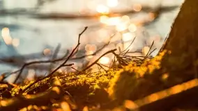 Wschód słońca przy wyspie Wydmińskiej, kwiecień 2022 r. - zdjęcie 47