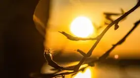 Wschód słońca przy wyspie Wydmińskiej, kwiecień 2022 r. - zdjęcie 48