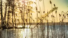 Zachód słońca nad jeziorem Dejguny, marzec 2022 r. - zdjęcie 24