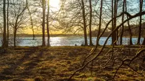 Zachód słońca nad jeziorem Dejguny, marzec 2022 r. - zdjęcie 28