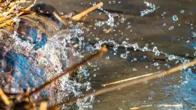 Zachód słońca nad jeziorem Dargin, marzec 2022 r. - zdjęcie 45