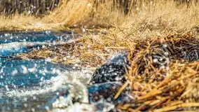 Zachód słońca nad jeziorem Dargin, marzec 2022 r. - zdjęcie 10